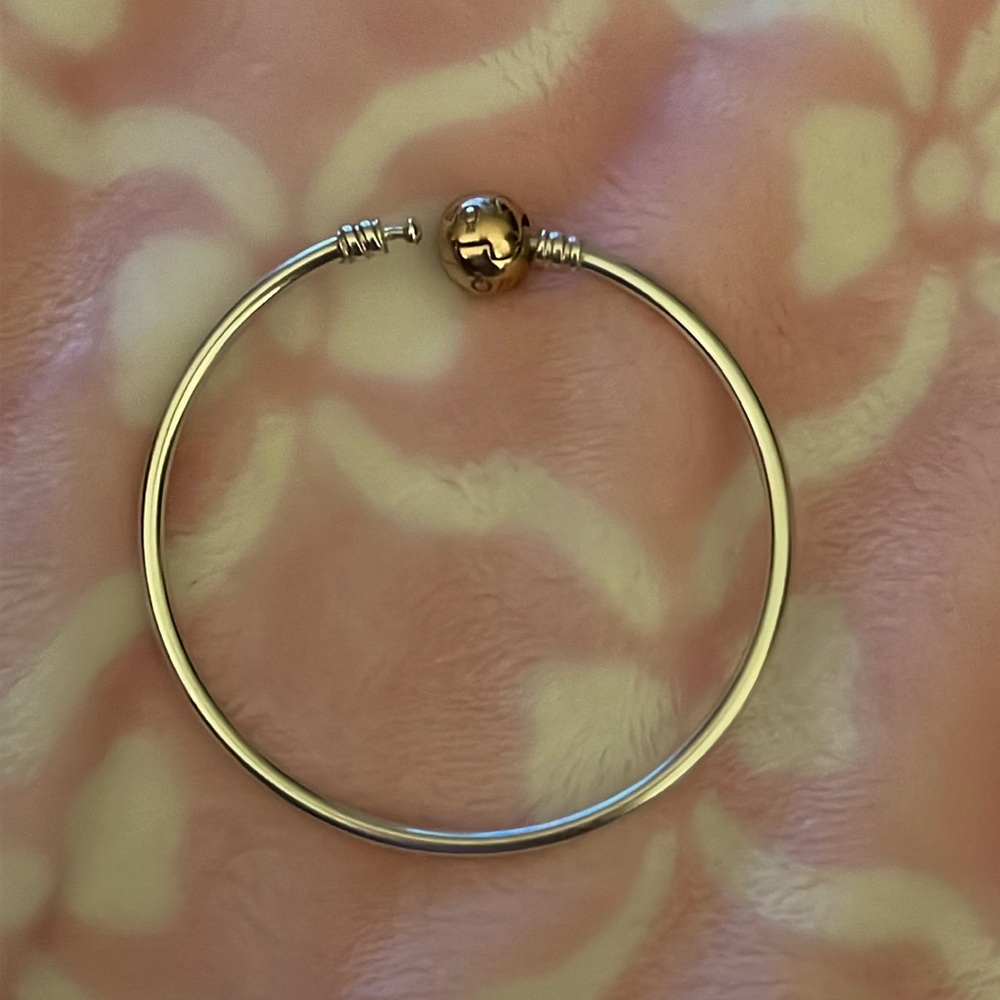 Pandora bangle